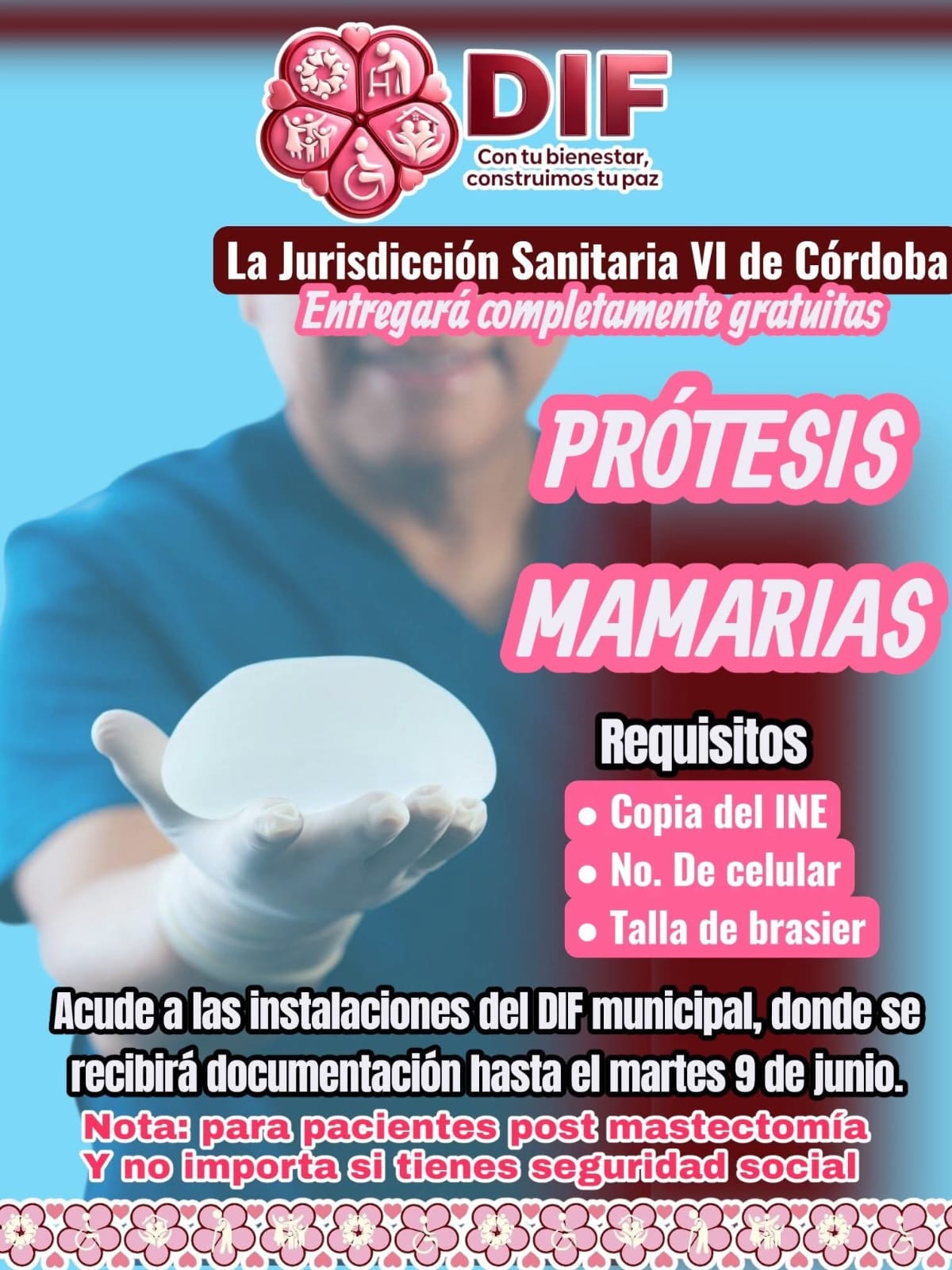 Noticia 6